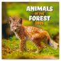 Lemeznaptr Animals of the Forest 2024, 30  30 cm